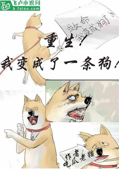 猫猫吃瓜视频合集  第2张